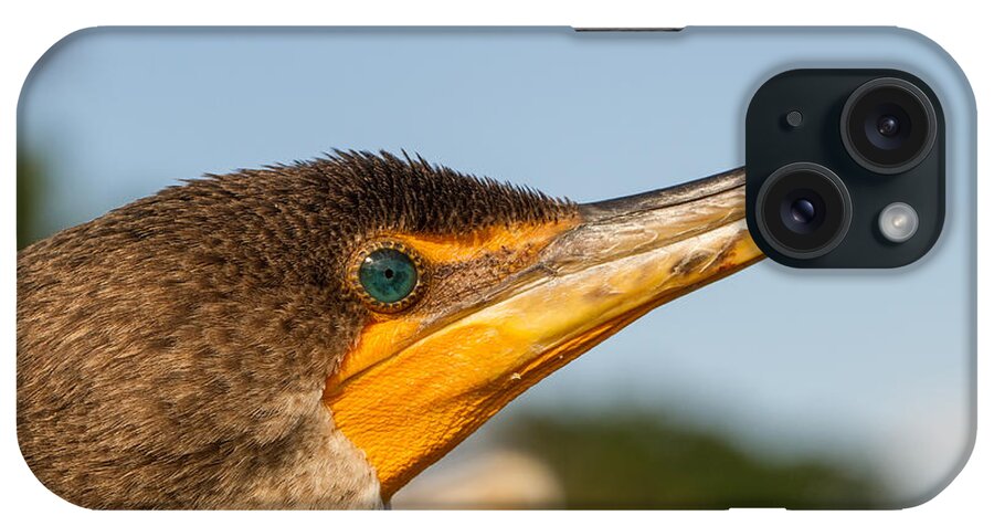 Bird iPhone Case featuring the photograph Double-crested Cormorant by Doug McPherson