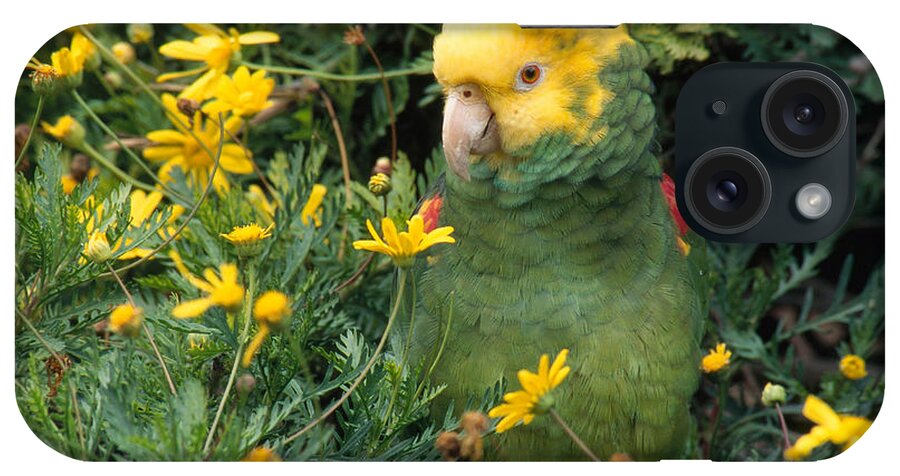 Amazon Parrot iPhone Case featuring the photograph Double Yellow Headed Parrot by Craig K. Lorenz