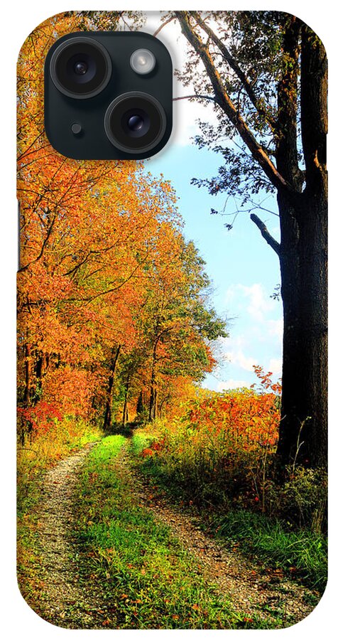 Autumn iPhone Case featuring the photograph Down Memory Lane by Lorna Rose Marie Mills DBA Lorna Rogers Photography