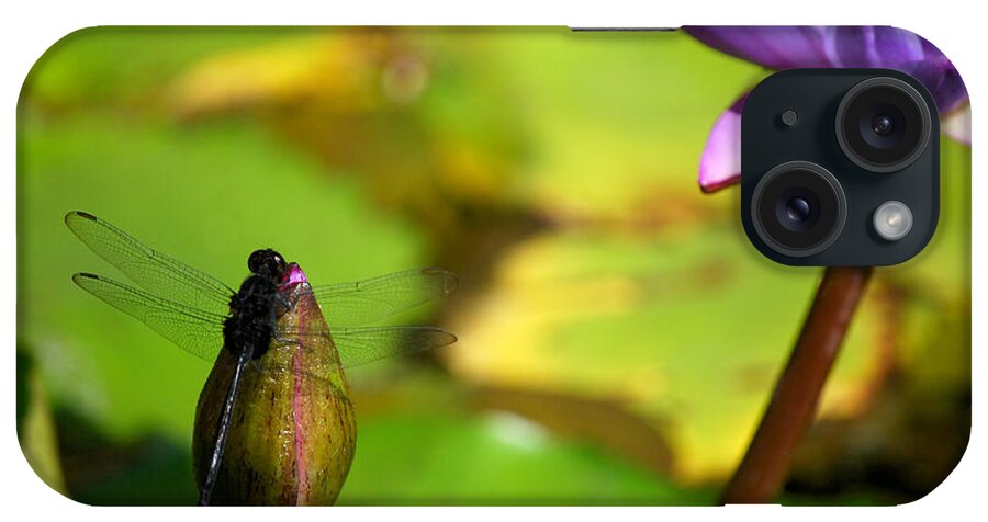 Dragonfly iPhone Case featuring the photograph Dragon Fly on Bud and Water Lily Horizontal Number One by Heather Kirk