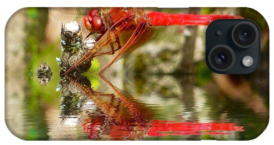 Dragon Fly Red iPhone Case featuring the photograph Dragon Fly Red by Susan Garren
