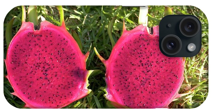 Botanical iPhone Case featuring the photograph Dragon Fruit by Photostock-israel