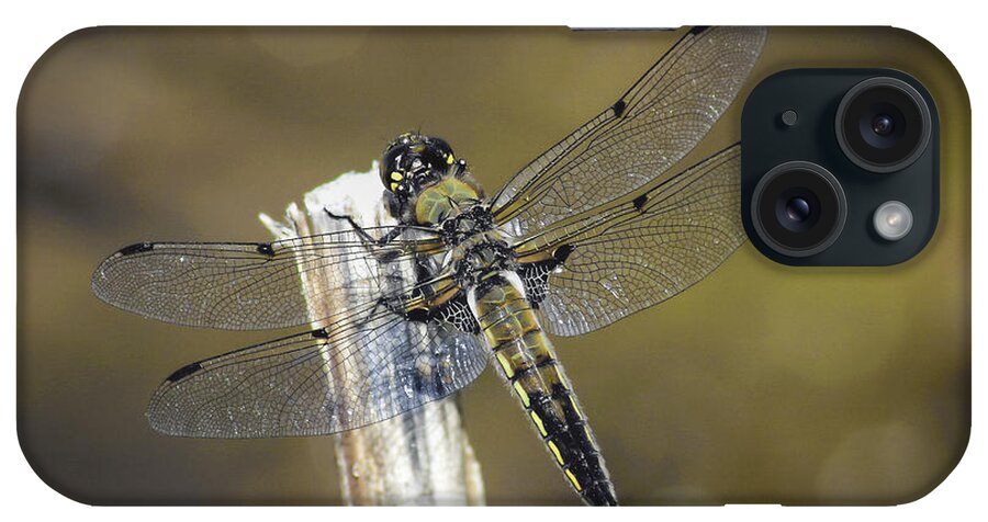 Dragonfly Detailed iPhone Case featuring the photograph Dragonfly Detailed by Mitch Shindelbower