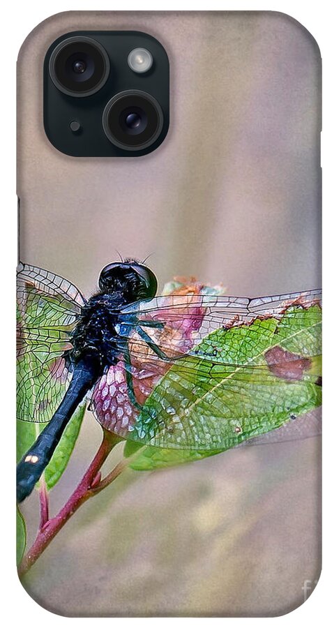 Dragonfly iPhone Case featuring the photograph Dragonfly by Gwen Gibson
