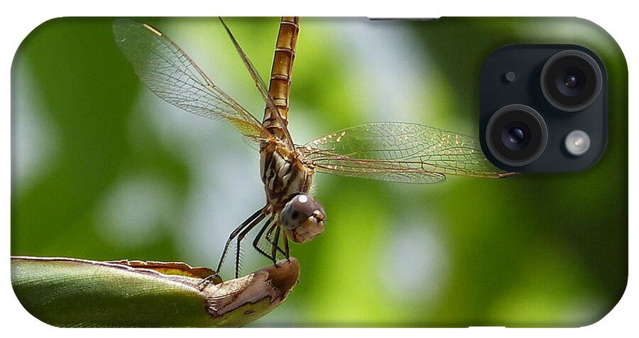  iPhone Case featuring the photograph Dragonfly by Janina Suuronen