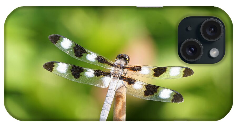 Twelve-spotted Skipper iPhone Case featuring the photograph Dragonfly On A Stick by Robert E Alter Reflections of Infinity