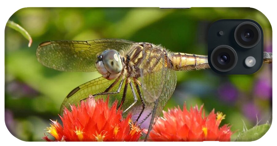 Dragonfly iPhone Case featuring the photograph Dragonfly On Red Flowers by Kathy Baccari