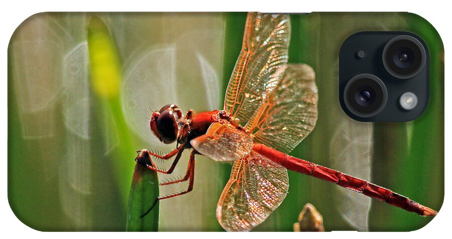 Dragonfly iPhone Case featuring the photograph Dragonfly Profile by Larry Nieland