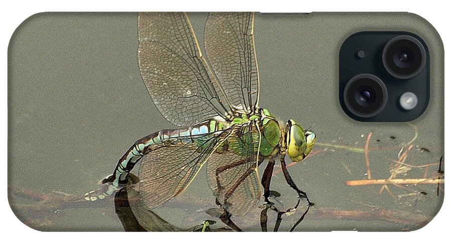 Nature iPhone Case featuring the photograph Dragonfly by Richard Denyer