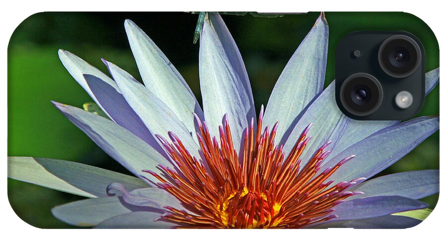 Dragon Fly iPhone Case featuring the photograph Dragonlily by Larry Nieland