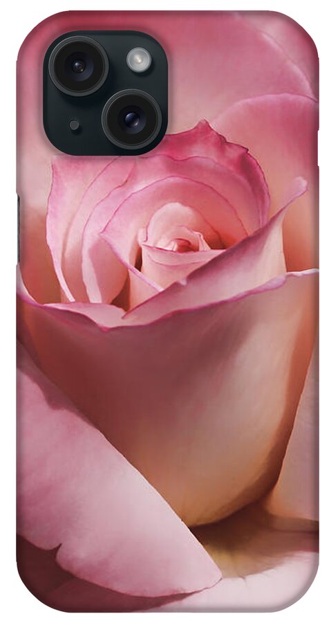 Rose iPhone Case featuring the photograph Dramatic Mauve Cream Rose Flower by Jennie Marie Schell