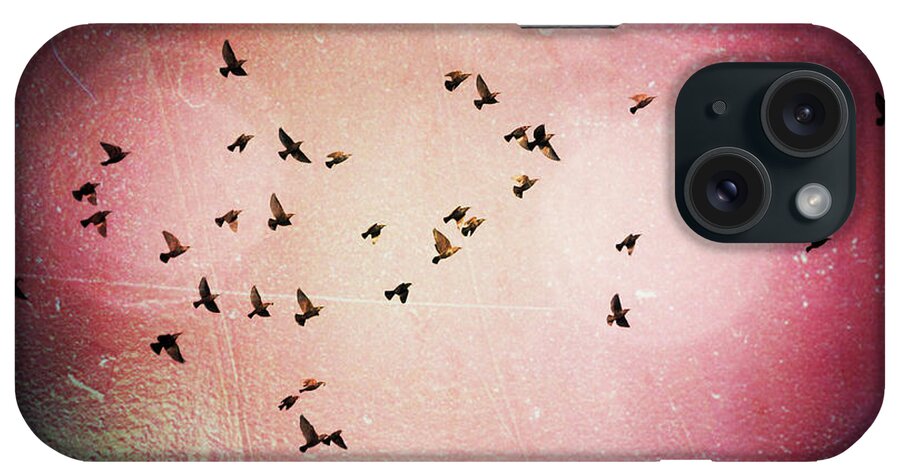 Bird iPhone Case featuring the photograph DreamFlight by Carlee Ojeda