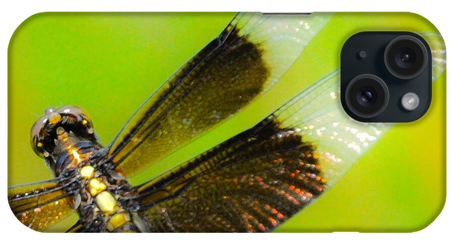 Dragonfly iPhone Case featuring the photograph Dreamy Dragonfly by Cheryl McClure