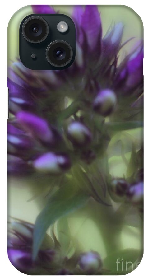 Floral iPhone Case featuring the photograph Dreamy Lavendar Buds by Mary Lou Chmura