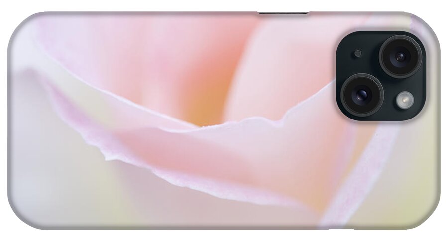 Rose iPhone Case featuring the photograph Dreamy Rose by Patty Colabuono