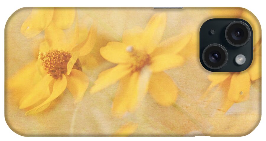 Flowers iPhone Case featuring the photograph Dreamy Yellow Coreopsis by Pam Holdsworth