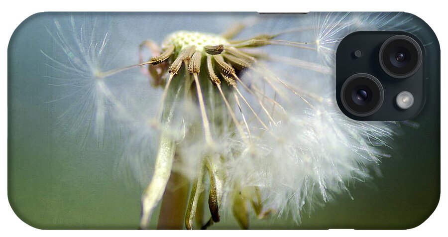 Dandelion iPhone Case featuring the photograph Drifting Away by Fraida Gutovich