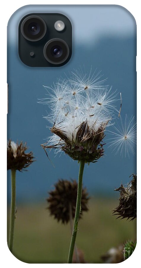 Jane Ford iPhone Case featuring the photograph Drifting Off by Jane Ford