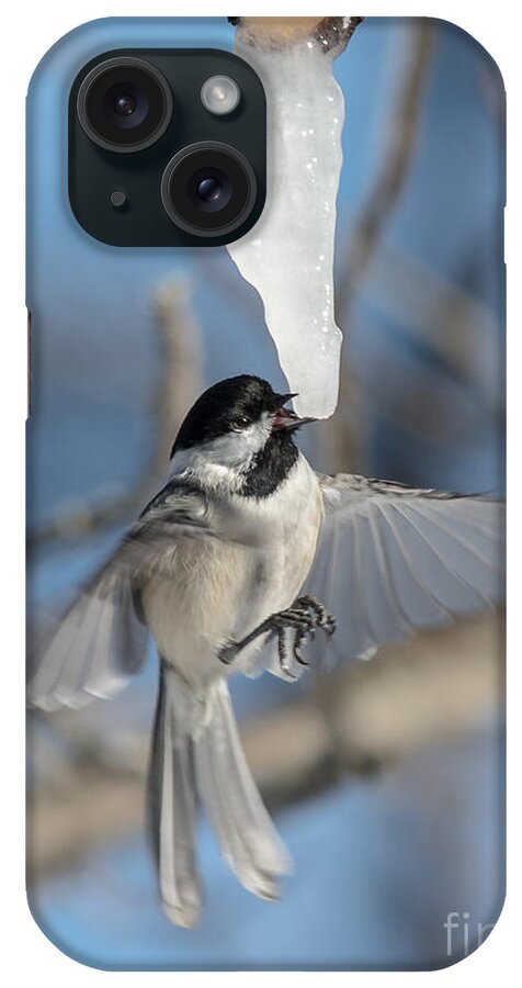 Blue Sky iPhone Case featuring the photograph Drinking in Flight by Cheryl Baxter