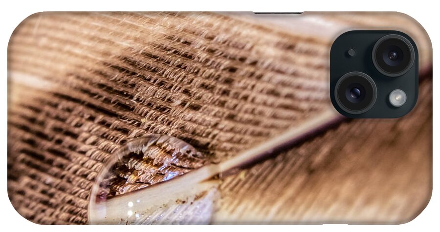 Light iPhone Case featuring the photograph Droplet On A Quill by Traveler's Pics