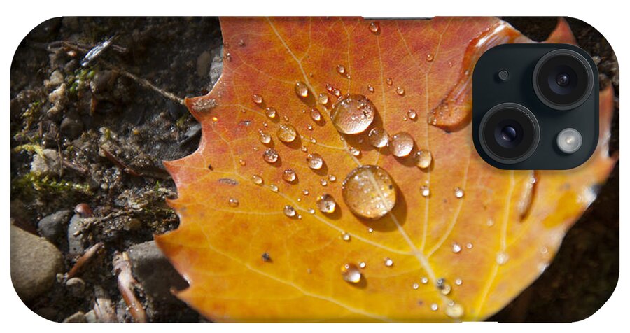 Travel iPhone Case featuring the photograph Droplets In Autumn Leaf by Owen Weber