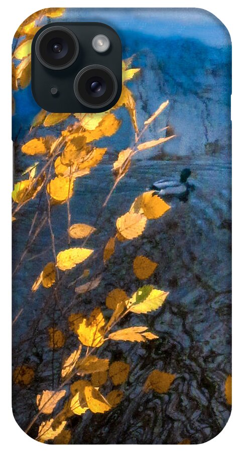 2014 iPhone Case featuring the photograph Duck Pond in Fall by George Harth
