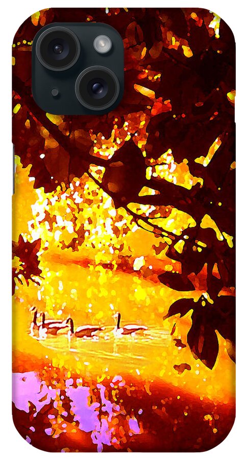 Landscapes iPhone Case featuring the painting Ducks in the Disitance by Amy Vangsgard