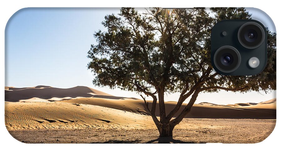 Tree iPhone Case featuring the photograph Dune Guardian by Justin Albrecht