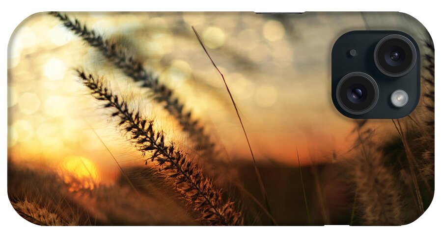 Beach iPhone Case featuring the photograph Dune by Laura Fasulo