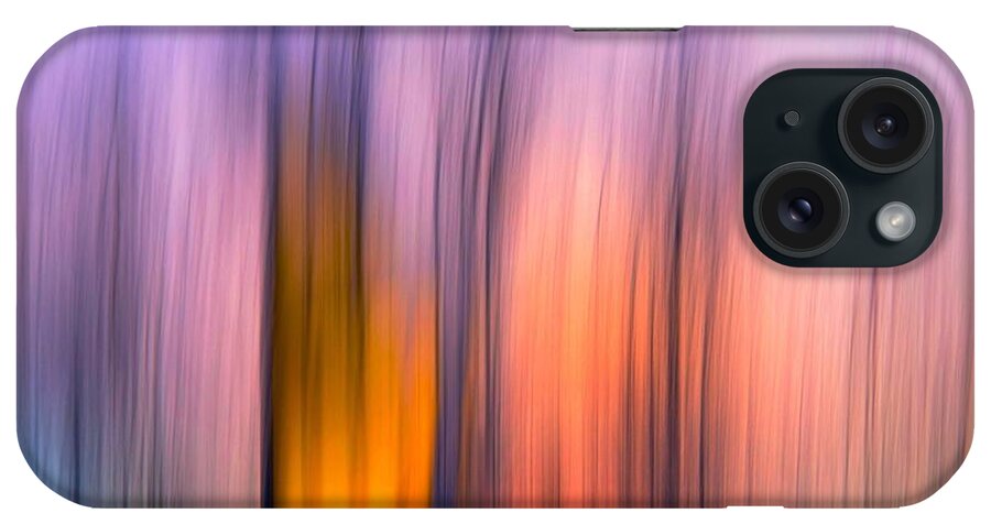 Kansas Landscape iPhone Case featuring the photograph Dust in the Wind by Abbie Loyd Kern