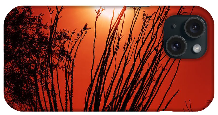 Sunset iPhone Case featuring the photograph Dust by Michael Newberry