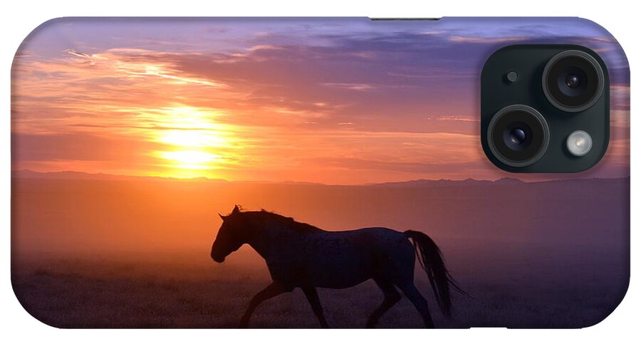 Wild Mustang Horse Stallion Sunset Dust Utah Sky iPhone Case featuring the photograph Dusty Mustang Sun by Dirk Johnson