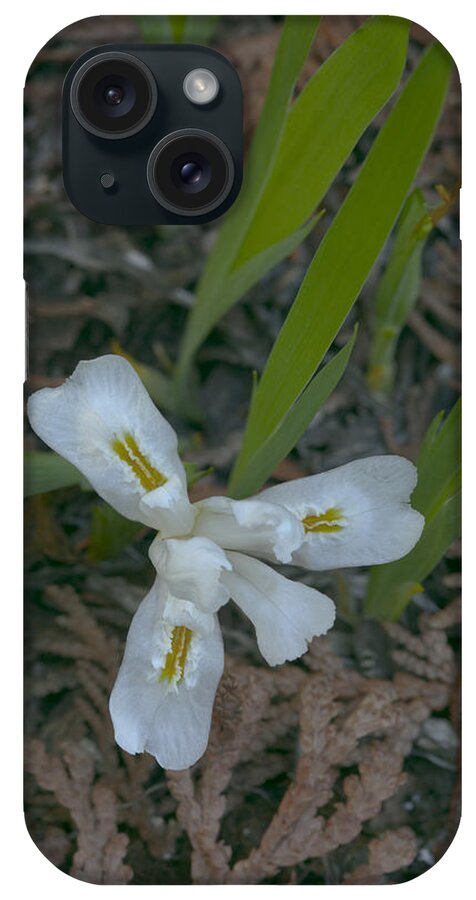 Alpena iPhone Case featuring the photograph Dwarf Lake Iris by Hal Horwitz