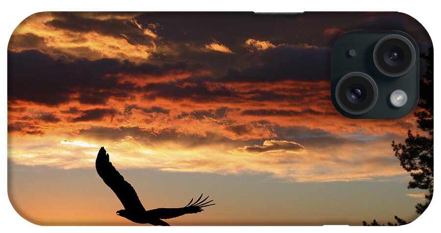 Bald Eagle iPhone Case featuring the photograph Eagle at Sunset by Shane Bechler