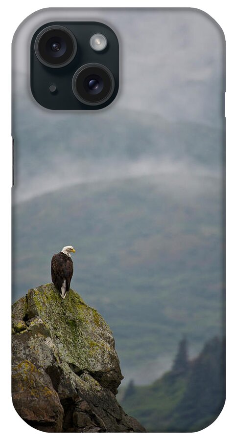 Scenics iPhone Case featuring the photograph Eagle by Enrique R. Aguirre Aves