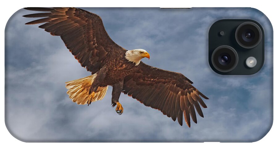 Bald Eagle iPhone Case featuring the photograph Eagle In the Sky by Beth Sargent