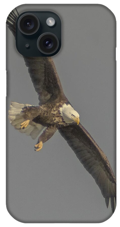  iPhone Case featuring the photograph Eagle Preparing to Dive by Paul Brooks