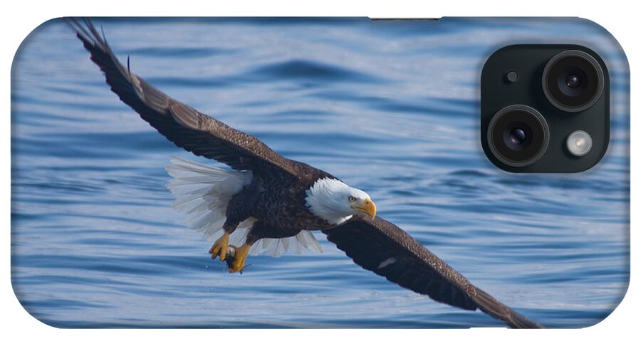 Eagle iPhone Case featuring the photograph Eagle Soaring by Larry Bohlin