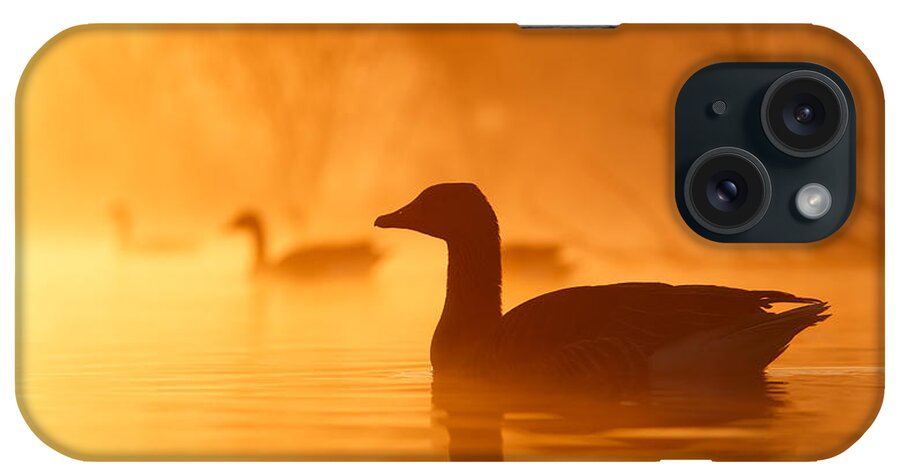 Goose iPhone Case featuring the photograph Early Morning Mood by Roeselien Raimond
