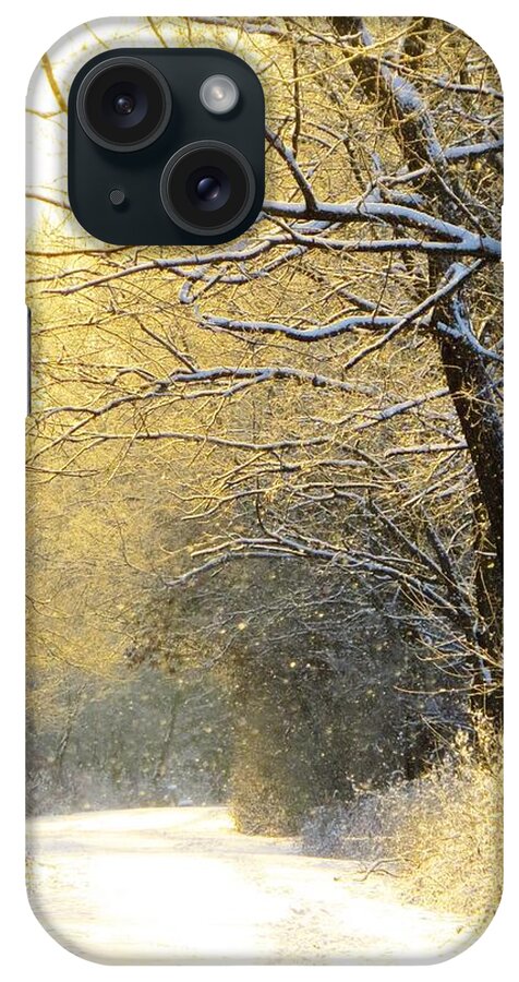 Woods iPhone Case featuring the photograph Early Winter Snow by Lori Frisch