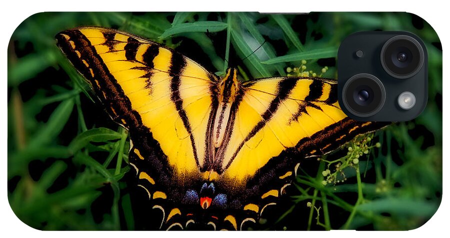 Eastern Tiger Swallowtail Butterfly Prints iPhone Case featuring the photograph Eastern Tiger Swallowtail Butterfly by Jerry Cowart
