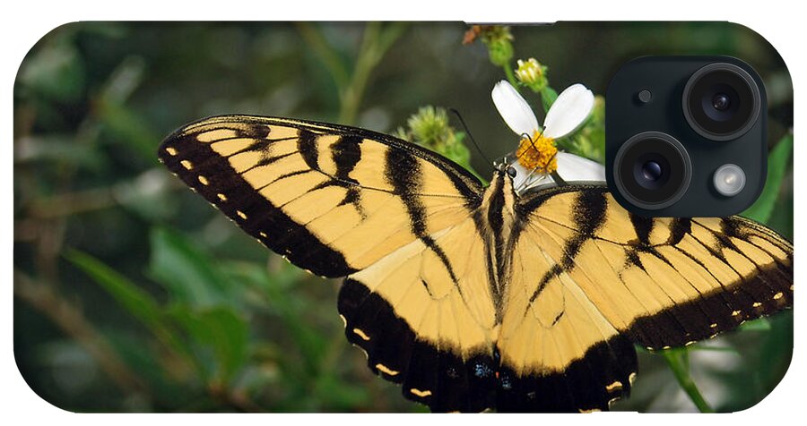 Photograph iPhone Case featuring the photograph Eastern Tiger Swallowtail by Larah McElroy
