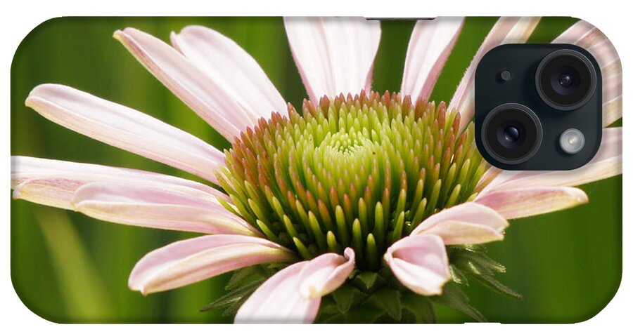 Purple Coneflower iPhone Case featuring the photograph Echinacea Flower Unfolds Closeup by Robert E Alter Reflections of Infinity