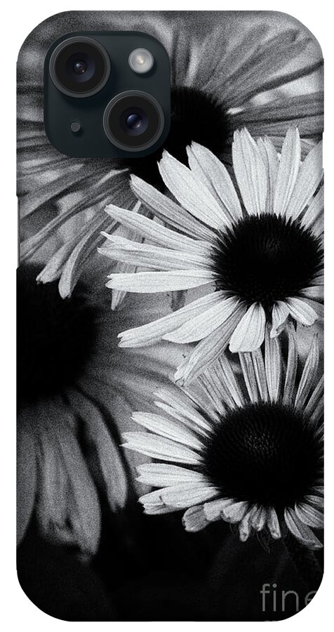 Asteraceae Family iPhone Case featuring the photograph Echinacea Noir by Venetta Archer