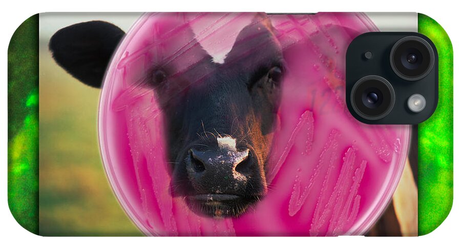 Cattle iPhone Case featuring the photograph E coli by George Mattei