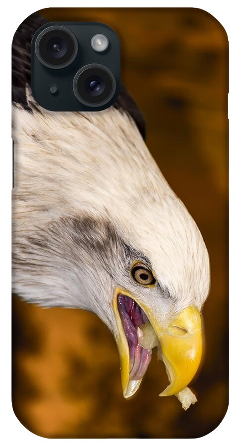 Eagle iPhone Case featuring the photograph Edgy Amber Eagle by Bill and Linda Tiepelman