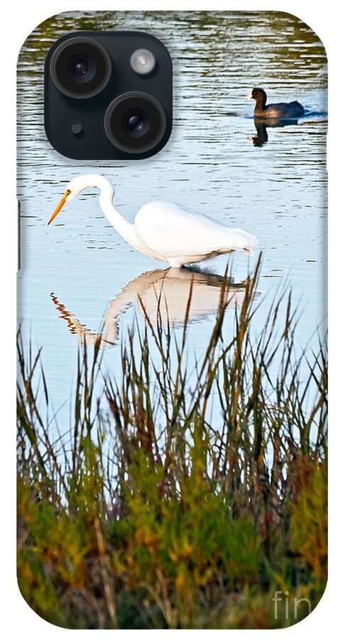American Coot iPhone Case featuring the photograph Egret and Coot in Autumn by Kate Brown