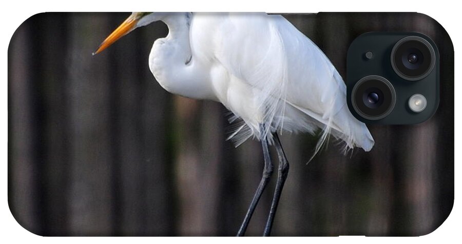 Egret iPhone Case featuring the photograph Egret in the Wind by Dan Williams