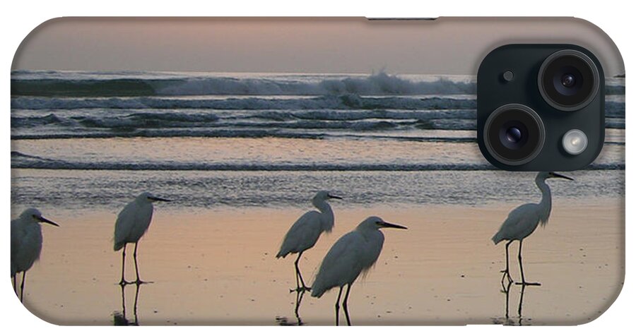 Beach iPhone Case featuring the photograph Egret Morning Sunrise Surf by Julianne Felton