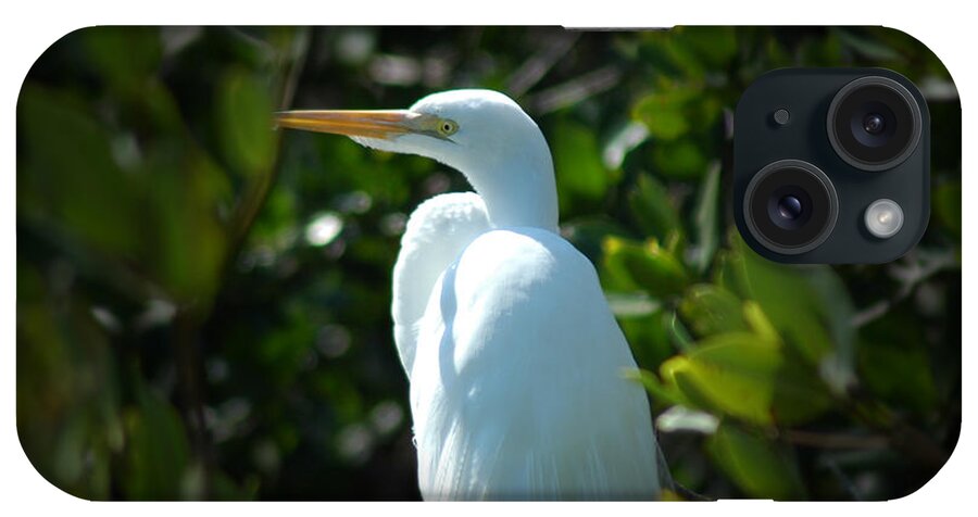 Egret iPhone Case featuring the photograph Egret Of Sanibel 9 by David Weeks